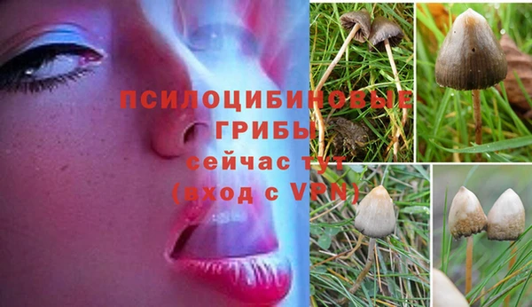 синтетический гашиш Верея