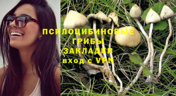 эйфоретик Верхний Тагил
